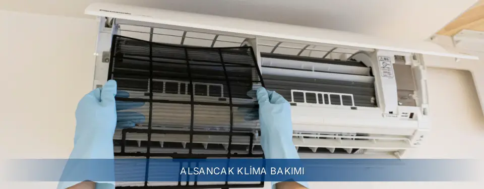 Alsancak İlçemi Electrolux Klima Bakımı