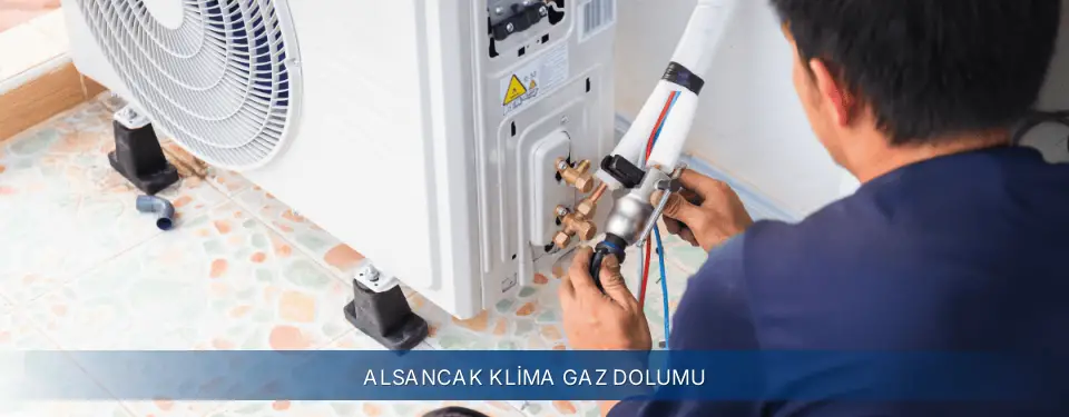 Alsancak İlçemi Electrolux Klima Gaz Dolumu