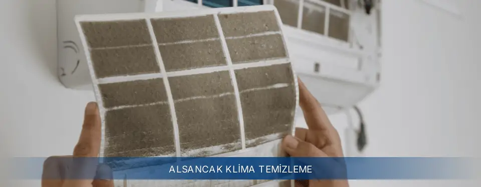 Alsancak İlçemi Electrolux Klima Temizleme